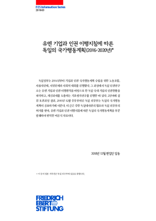 [The German National Action Plan on Business and Human Rights]